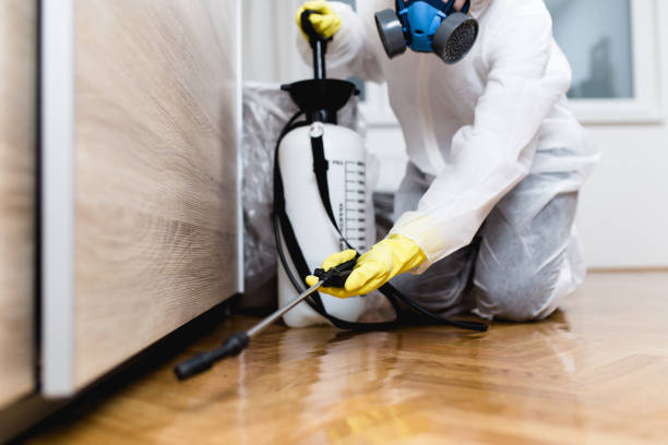 Best Bed Bug Extermination  in South Dennis, MA