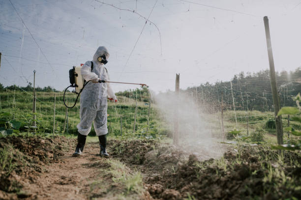 Best Pest Removal Services  in South Dennis, MA