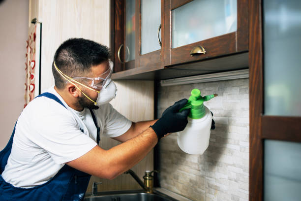 Best Pest Removal Services  in South Dennis, MA
