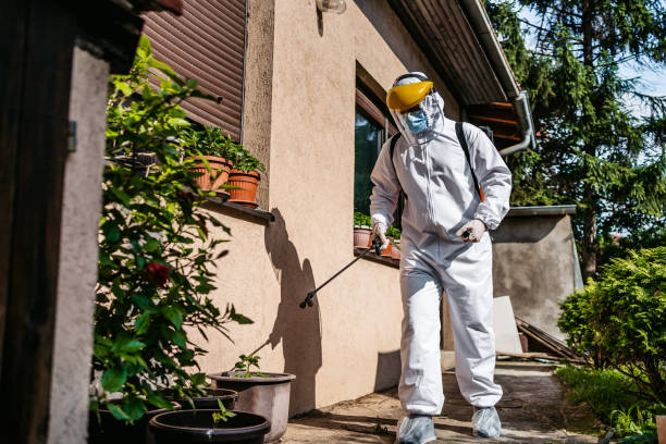 Best Pest Control for Homes  in South Dennis, MA