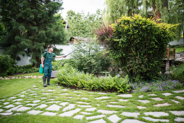 Best Pest Control Near Me  in South Dennis, MA
