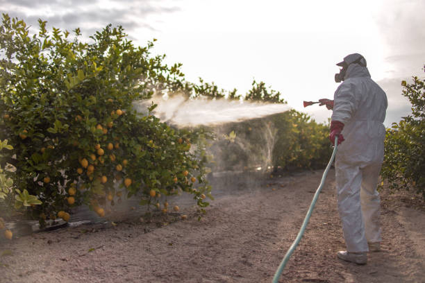 Best Best Pest Control Companies  in South Dennis, MA