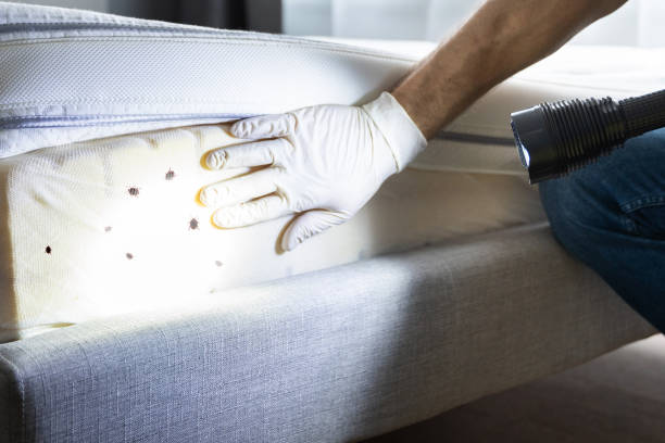 Best Best Pest Control Companies  in South Dennis, MA