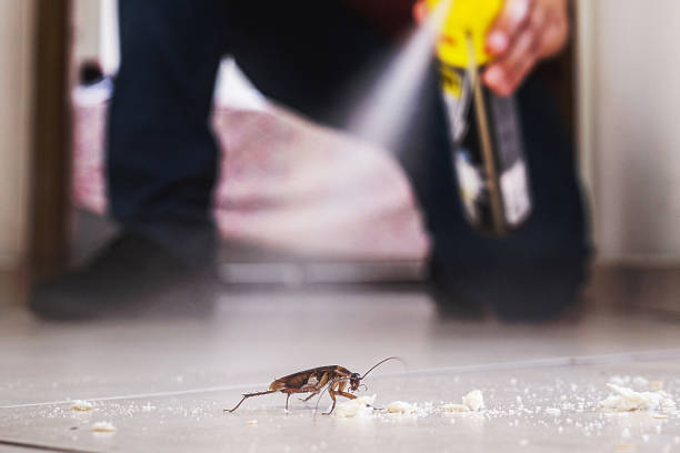 Best Commercial Pest Control Services  in South Dennis, MA
