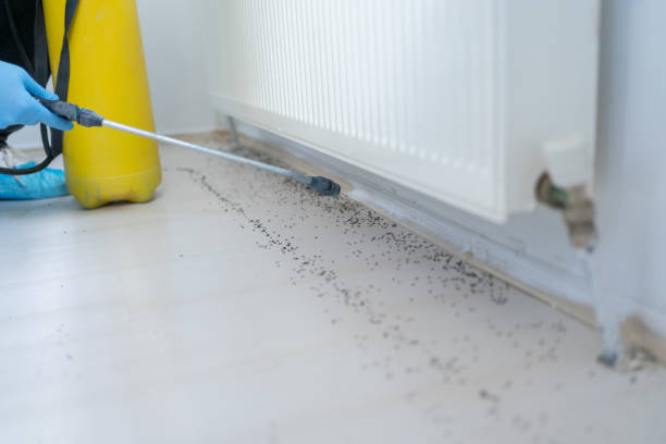 Best Pest Control Treatment  in South Dennis, MA
